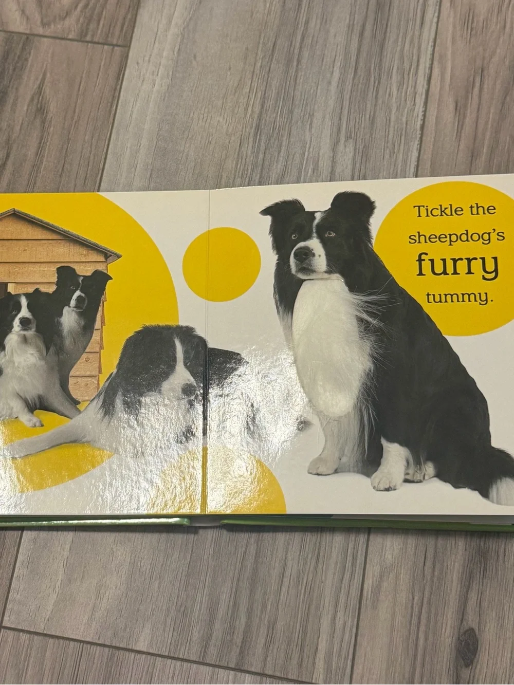 Farm Animal Themed Children’s Books Set of 4